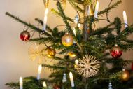 Christmas tree - Source: Getty
